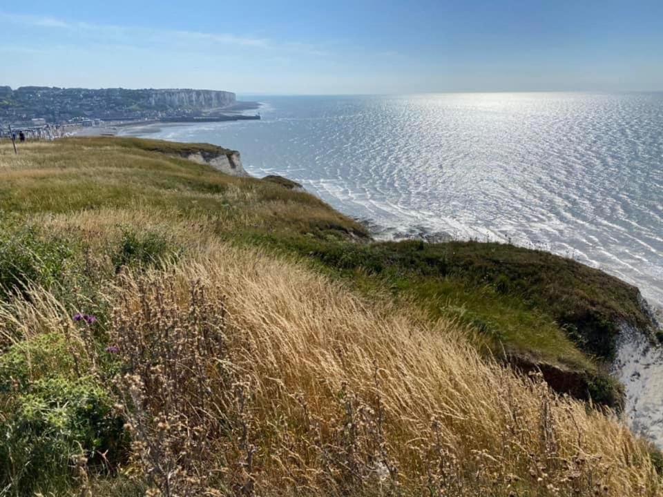 Plage A 50M Appartement Reves Bleus Villa Les Bains De Mers Kültér fotó
