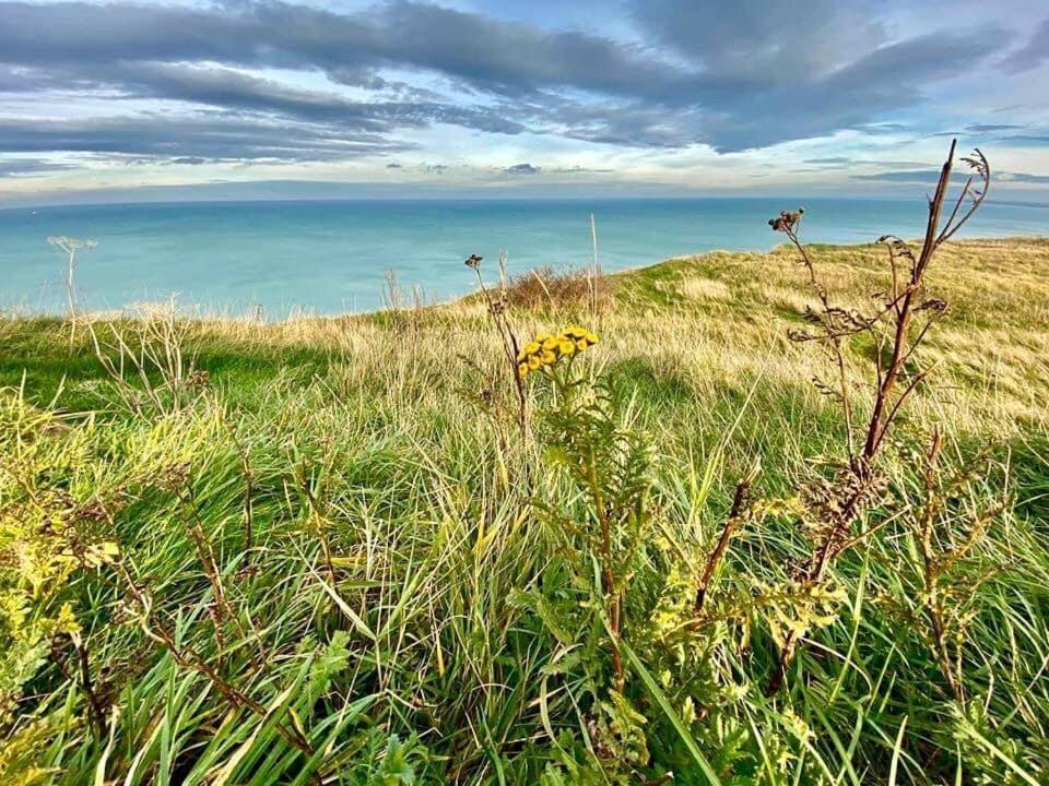 Plage A 50M Appartement Reves Bleus Villa Les Bains De Mers Kültér fotó