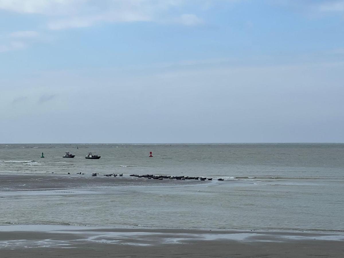 Plage A 50M Appartement Reves Bleus Villa Les Bains De Mers Kültér fotó